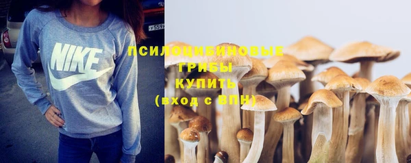 ешки Лагань