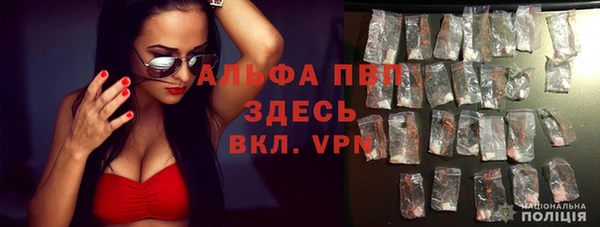 твердый Ладушкин