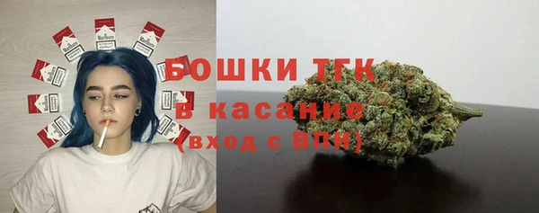 твердый Ладушкин