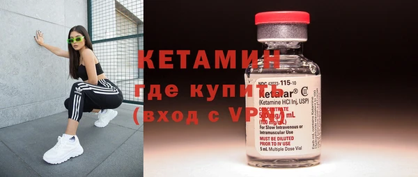 твердый Ладушкин