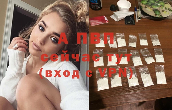 твердый Ладушкин