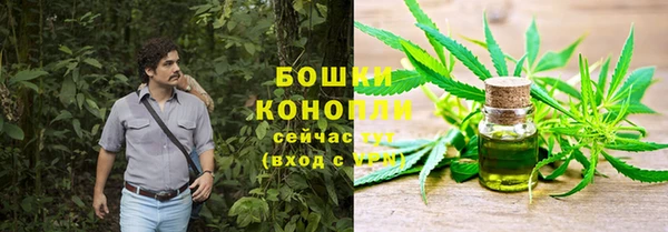твердый Ладушкин