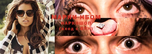 твердый Ладушкин