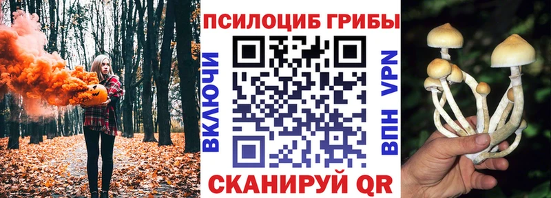 Галлюциногенные грибы Magic Shrooms  Купить где  Ржев 